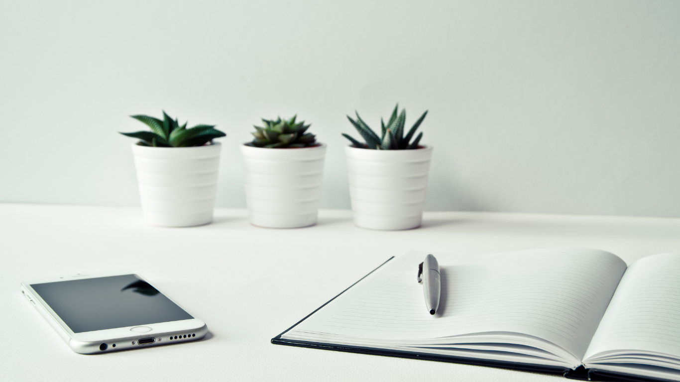 5 Reasons Why You Should Start a Credit Repair Business in 2019 featured image